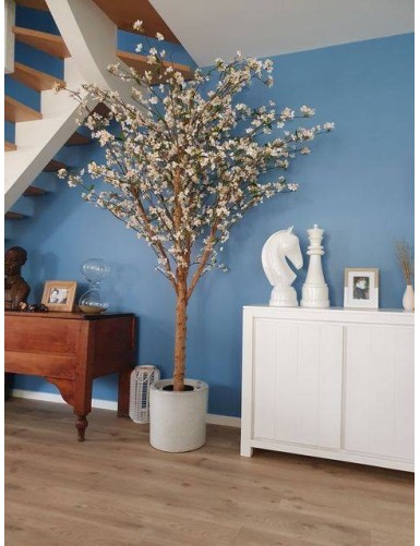 BLÜTENKIRSCHE GROSS