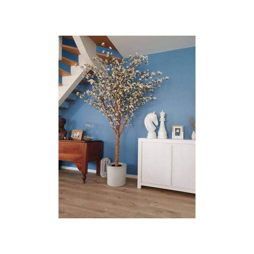 BLÜTENKIRSCHE GROSS