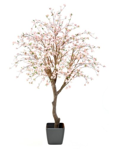 CEREZO EN FLOR NEW LARGE