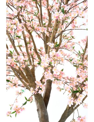 CEREZO EN FLOR NEW LARGE