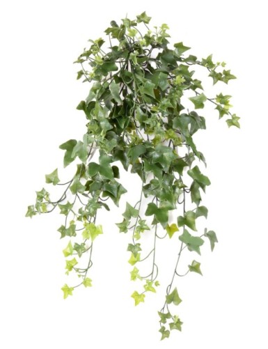 HIEDRA *210 RESISTENTE A...