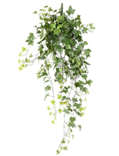 HIEDRA *322 RESISTENTE A...