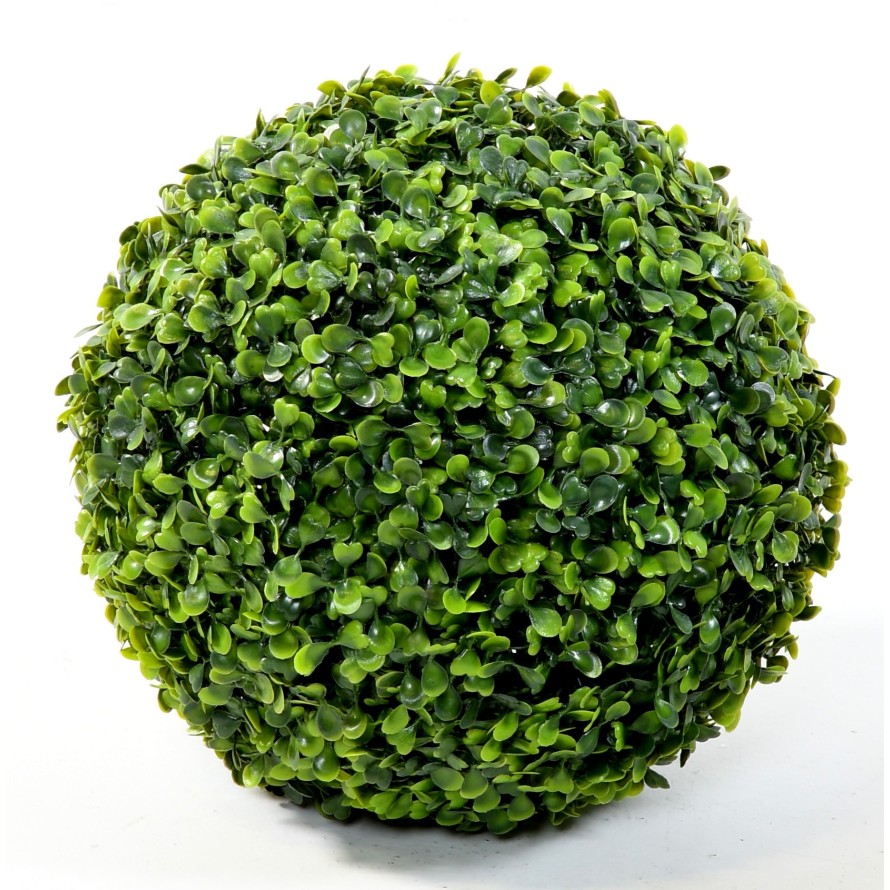 BOXWOOD BALL GR