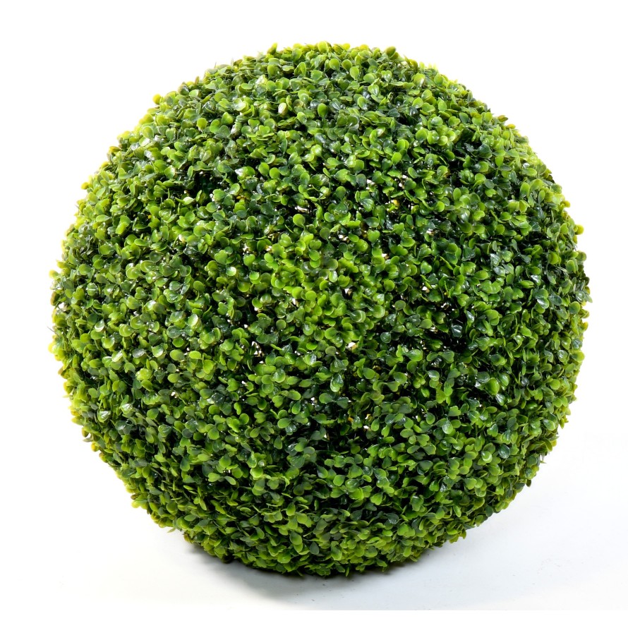 BOXWOOD BALL GR