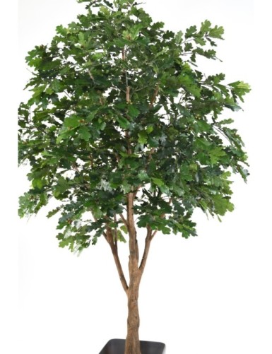 ROBLE ÁRBOL Nuevo