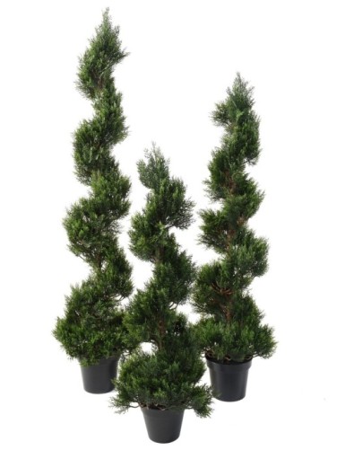 ZYPRESSE MINI NEW SPIRALE...