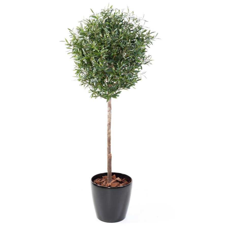 OLIVENBAUM KRONE KUGEL