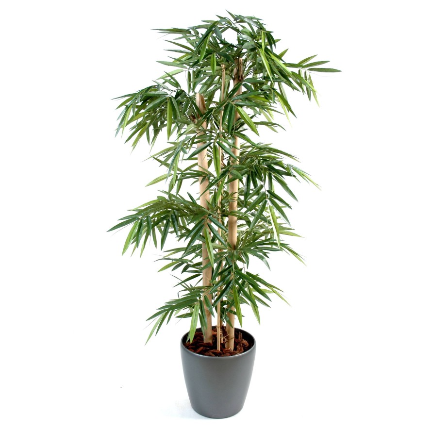 BAMBÚ NEW CAÑAS GRUESAS