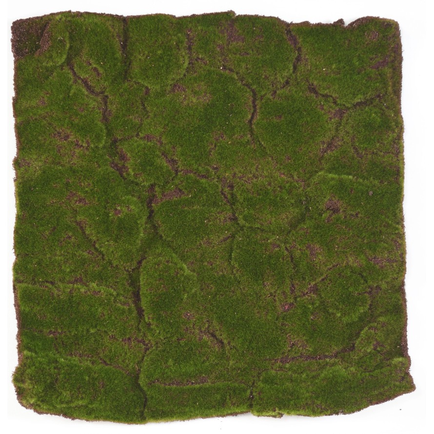MOSS DEKOPLATTE 50 × 50