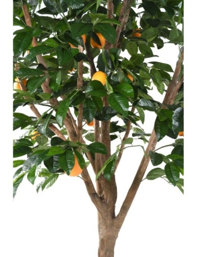 ORANGE TREE