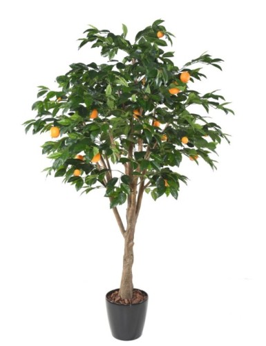 ORANGE TREE