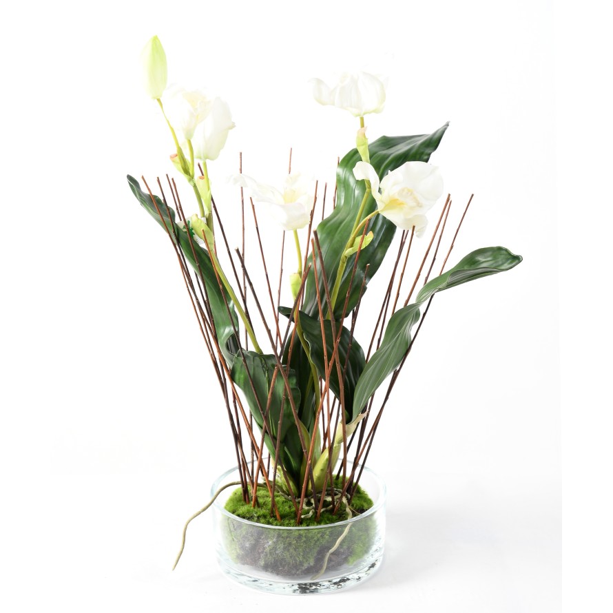 BOUQUET LYCASTE ORCHID