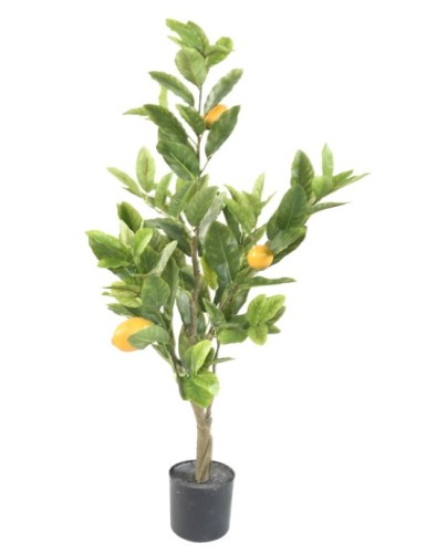 LIMONERO 90 CM