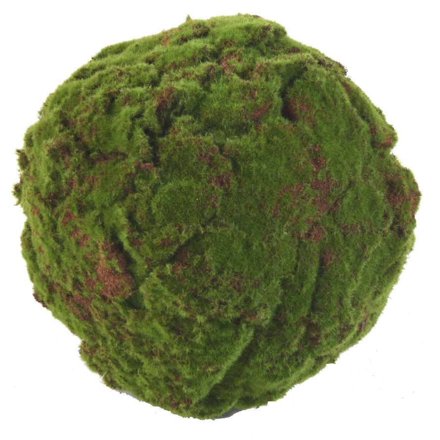 MUSGO ESFERA Nuevo