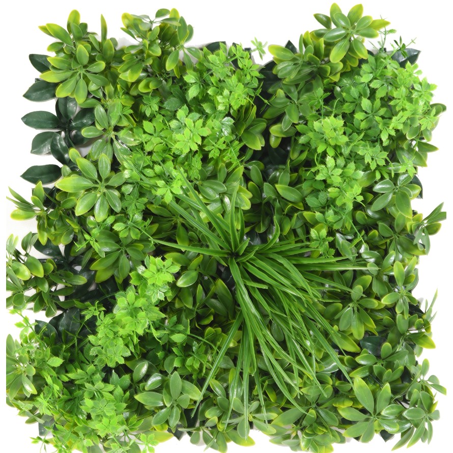 WAND PLATTE D 50 × 50