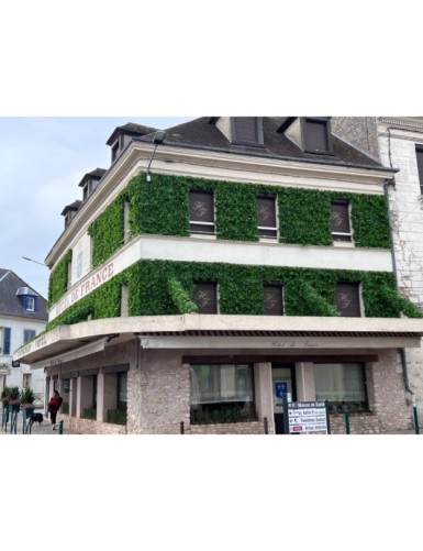 PANEL DE JARDÍN VERTICAL D 50*50