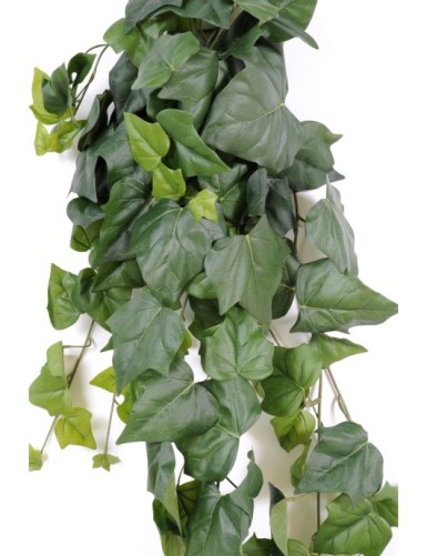 HIEDRA 141 GF RESISTENTE A LOS RAYOS UV