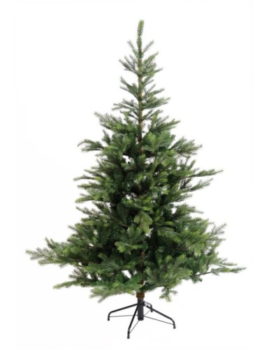 TANNE GRANDIS (Weihnachtsbaum)