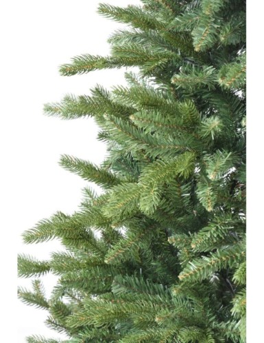 TANNE (Weihnachtsbaum) ALLISON