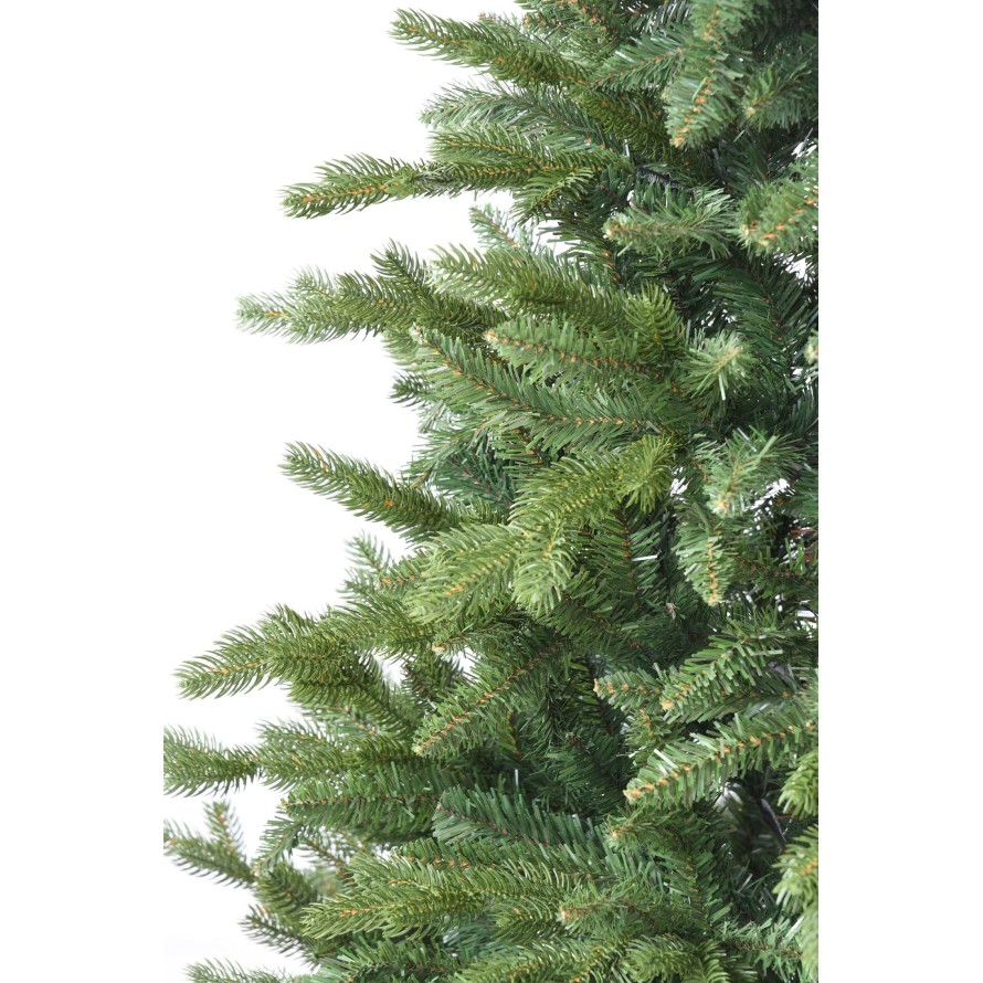 TANNE (Weihnachtsbaum) ALLISON