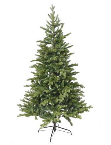 TANNE (Weihnachtsbaum) ALLISON