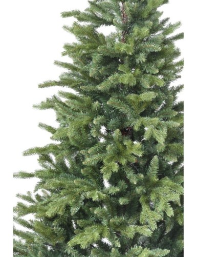 TANNE (Weihnachtsbaum) ALLISON