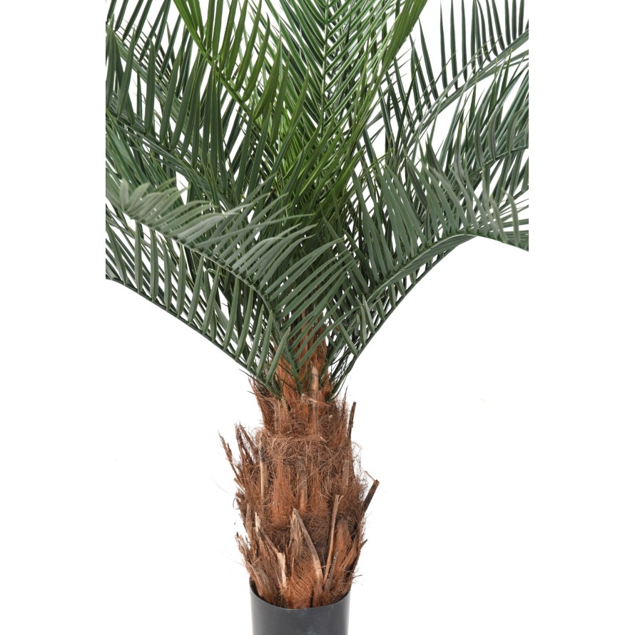 PHOENIX STAMM N PLAST