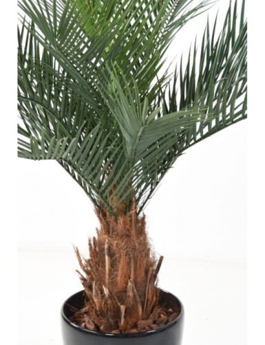 PHOENIX TRONCO N PLÁST.