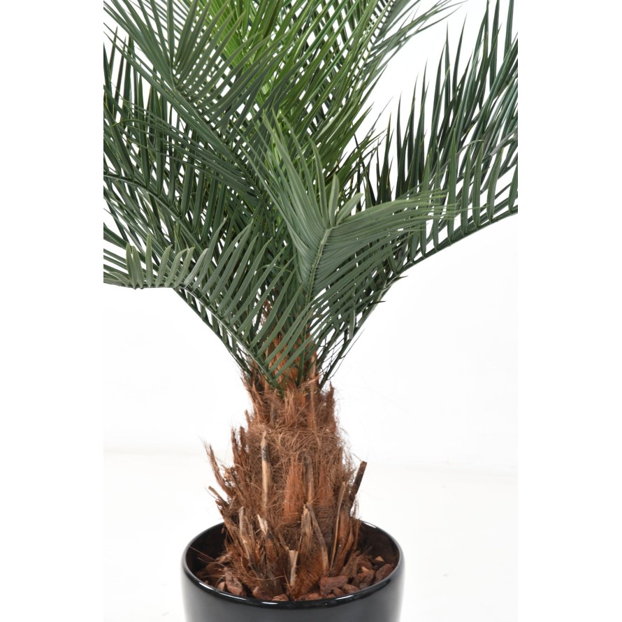 PHOENIX STAMM N PLAST