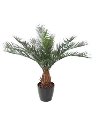 PHOENIX STAMM N PLAST