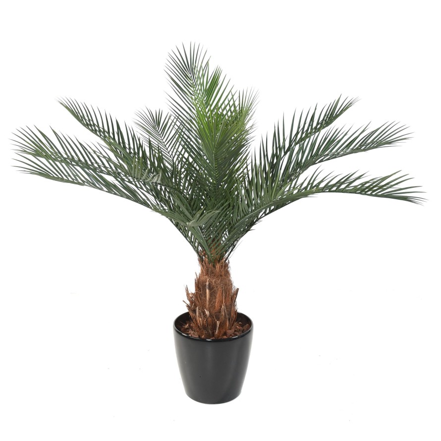 PHOENIX STAMM N PLAST