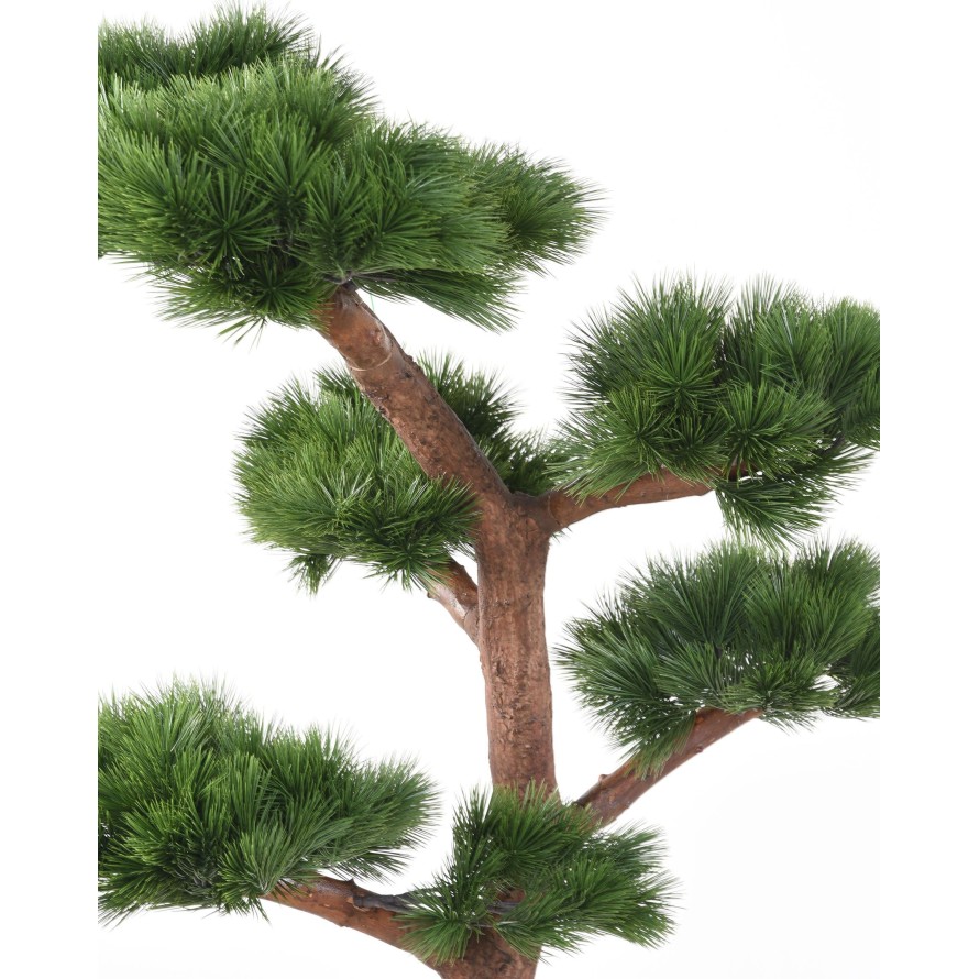 PINO BONSÁI RESISTENTE A LOS RAYOS UV