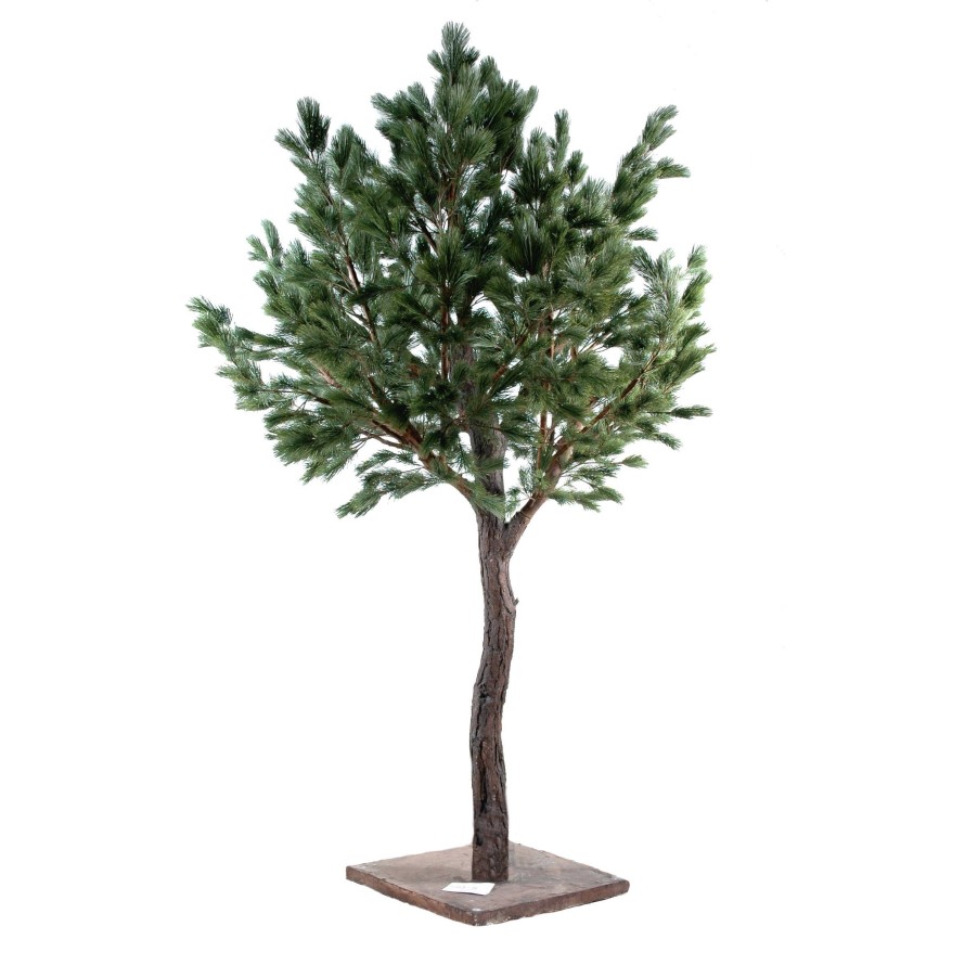 PINO Austriaco LARGE