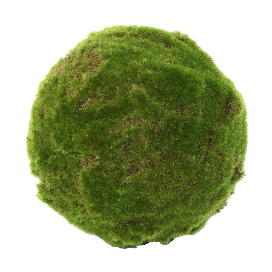 MUSGO ESFERA