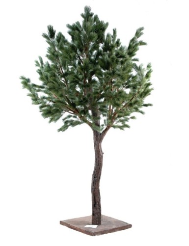 PINO Austriaco LARGE