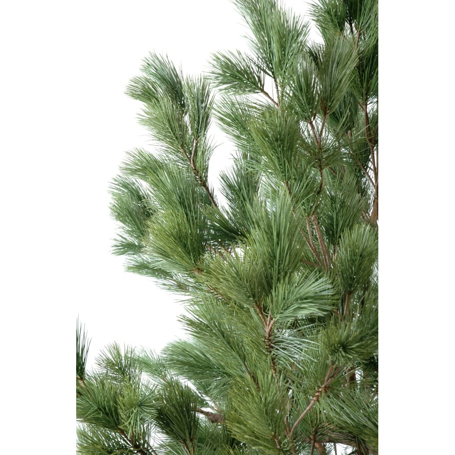 KIEFER Österreich GROSS