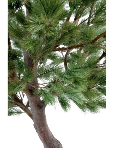 KIEFER Österreich GROSS