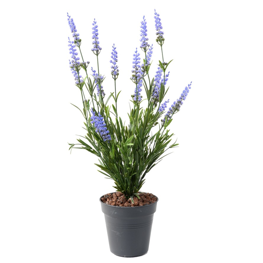LAVENDEL PLAST