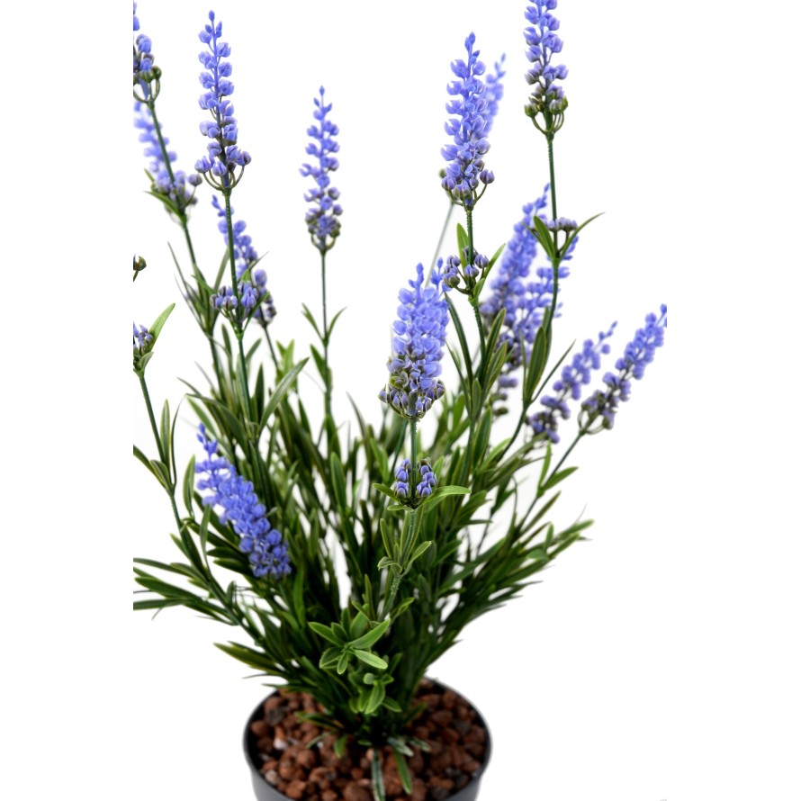 LAVENDEL PLAST