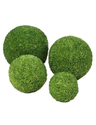 BOJ ESFERA SEMPERVIRENS