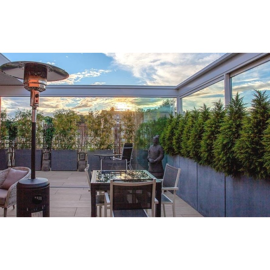 ZYPRESSE (Juniperus vj)