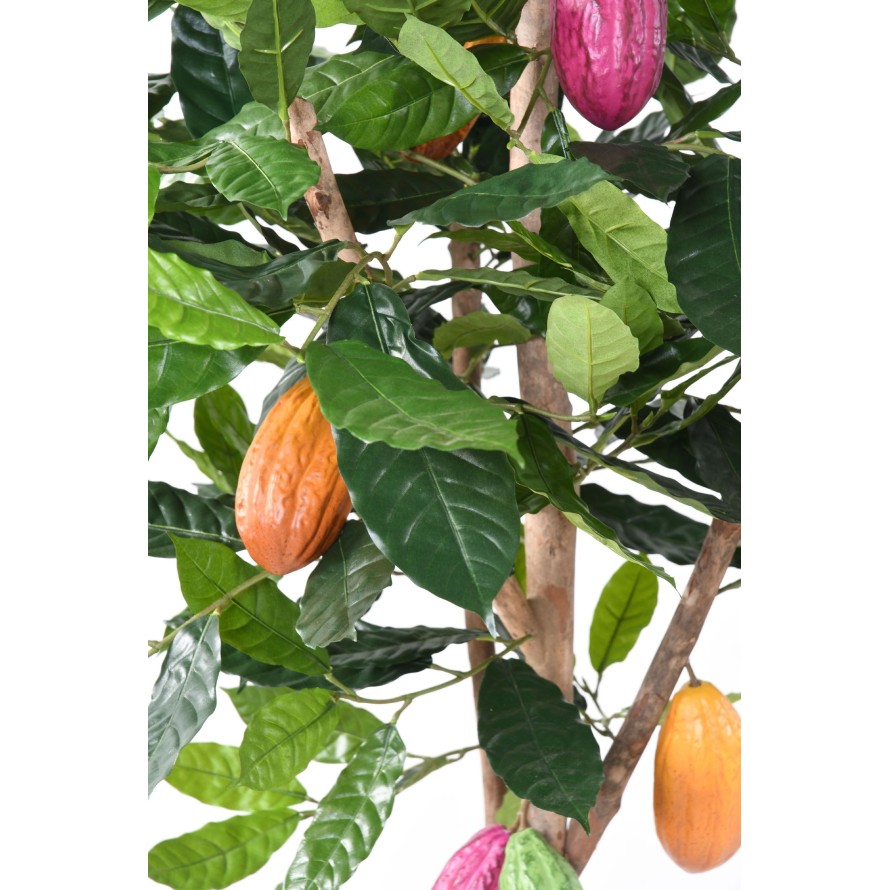 ÁRBOL DEL CACAO