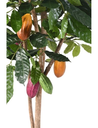 ÁRBOL DEL CACAO