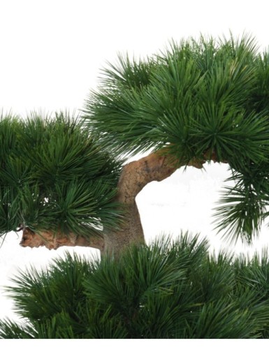 PINO BONSÁI 92 RESISTENTE A LOS RAYOS UV