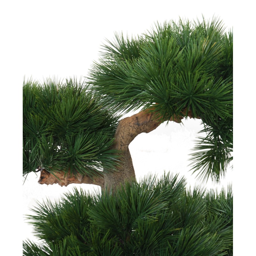 PINO BONSÁI 92 RESISTENTE A LOS RAYOS UV