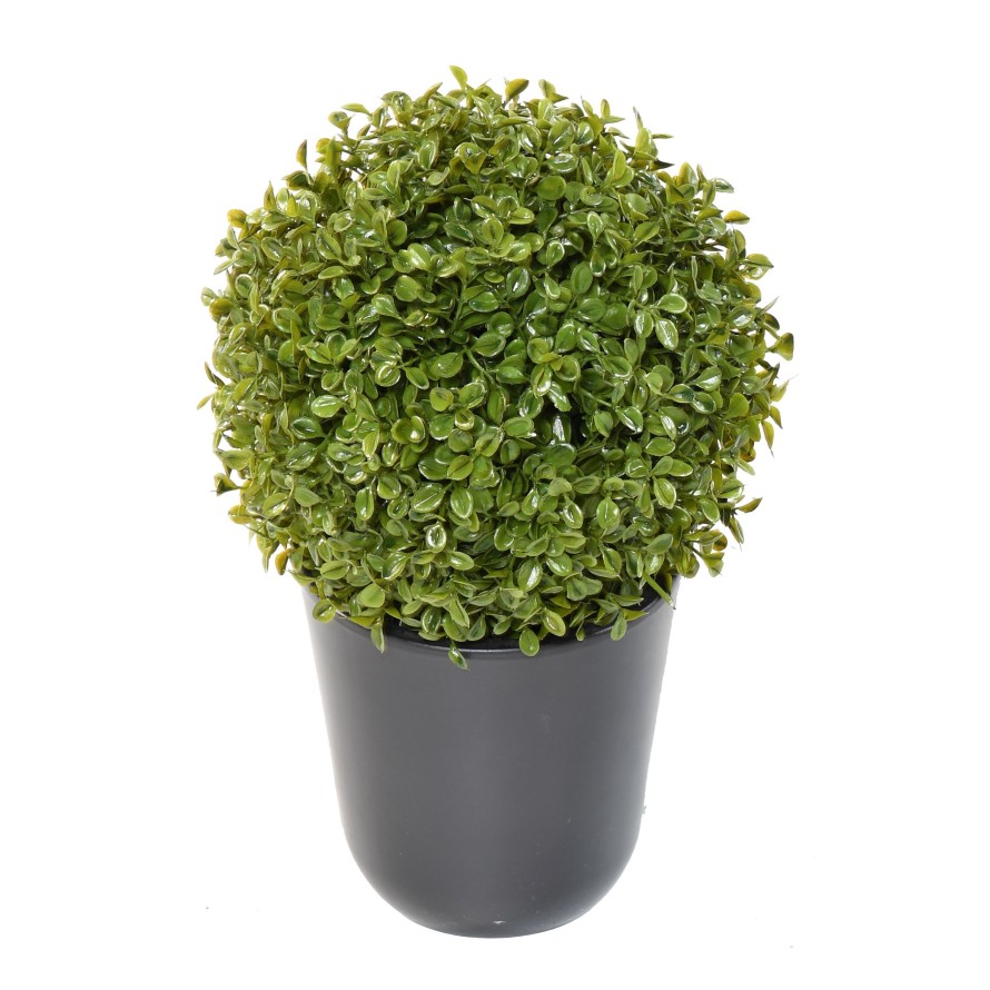 BUIS BOULE STK Simple (promo net)