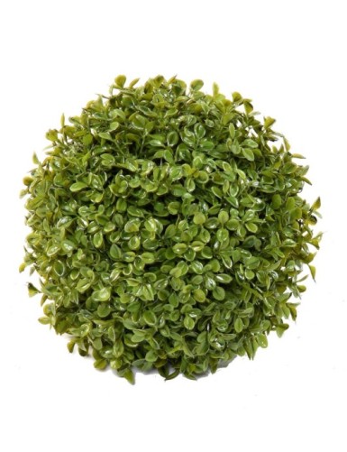 BOXWOOD BALL STK Single...