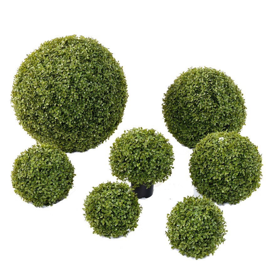 BOXWOOD BALL STK Single (Net promotional price)