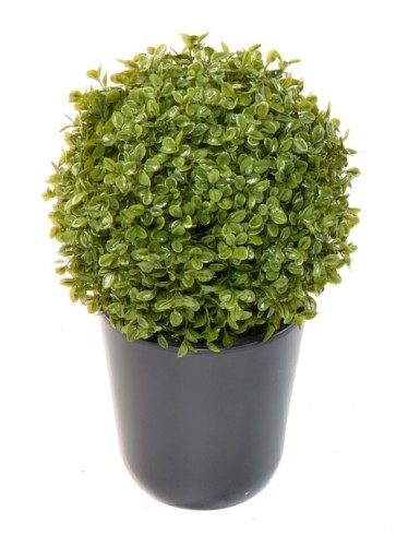 BOJ ESFERA STK EN MACETA (Precio neto promocional)