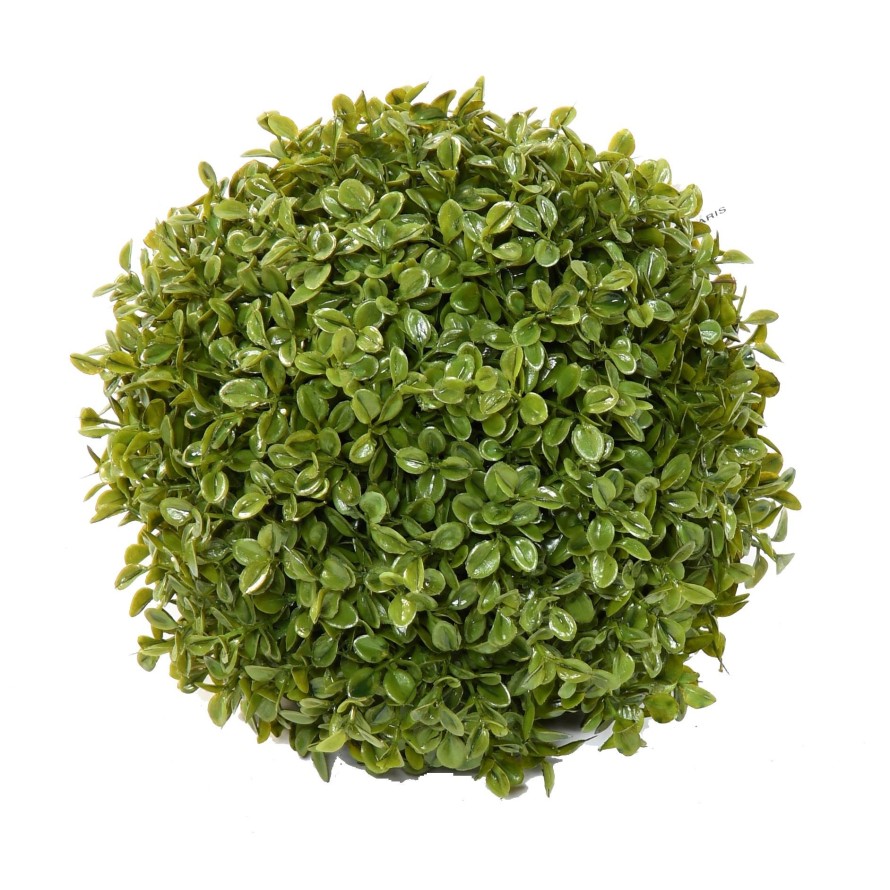 BOXWOOD BALL STK (Net promotional price)